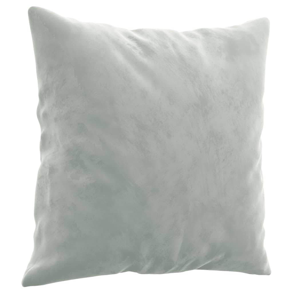 Light Gray Velvet 2 Piece Sofa Set with Throw Pillows G111460