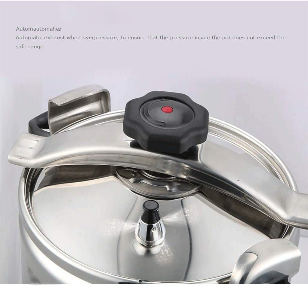 Stainless Steel 3L Electric Pressure Cooker G990926