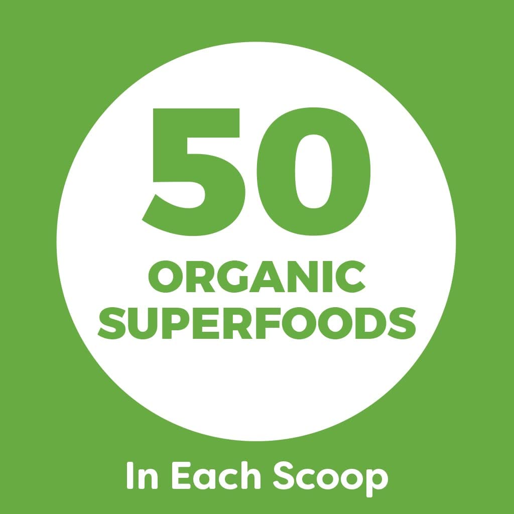 Organic Plant Based Protein Powder Vanilla Bean 2.74 Pound L72118