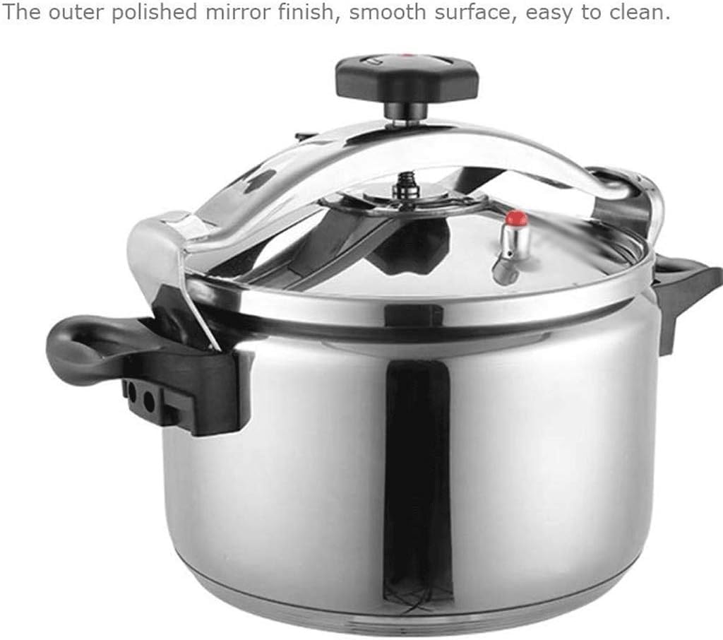 Stainless Steel 3L Electric Pressure Cooker G990926