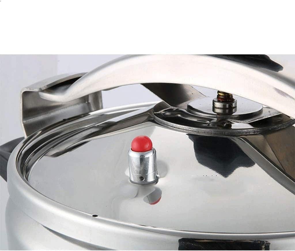 Stainless Steel 3L Electric Pressure Cooker G990926
