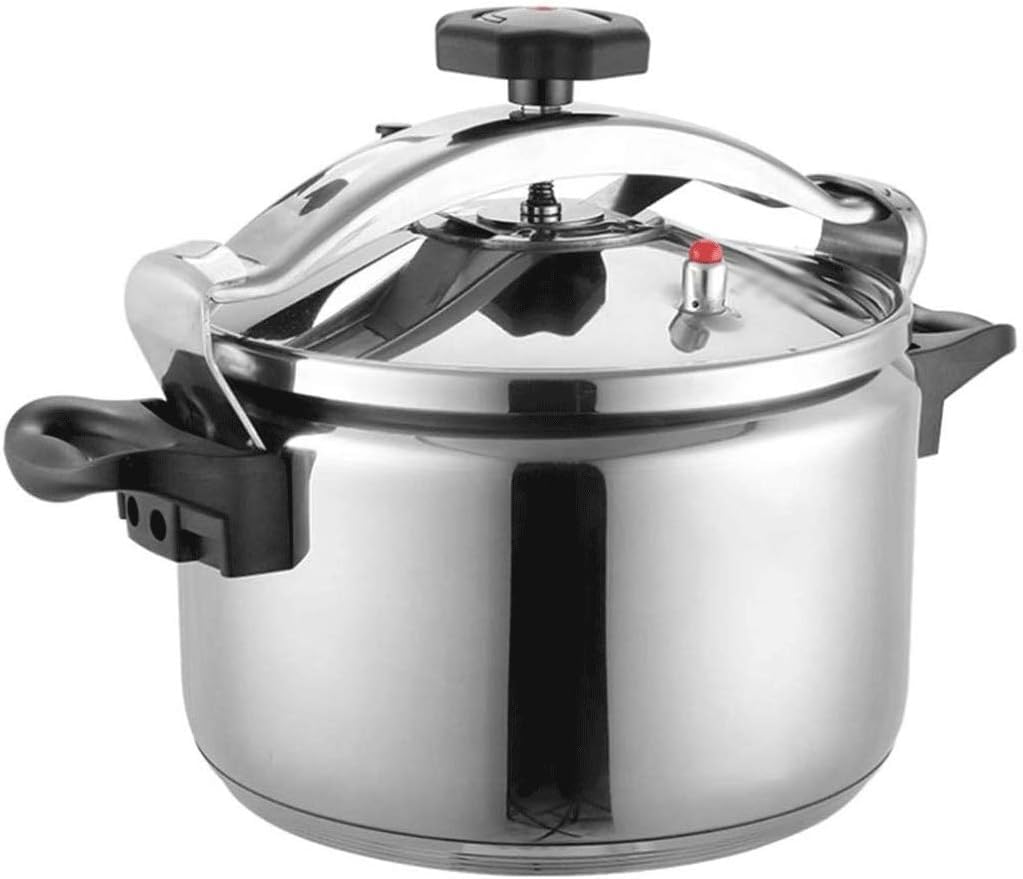 Stainless Steel 3L Electric Pressure Cooker G990926