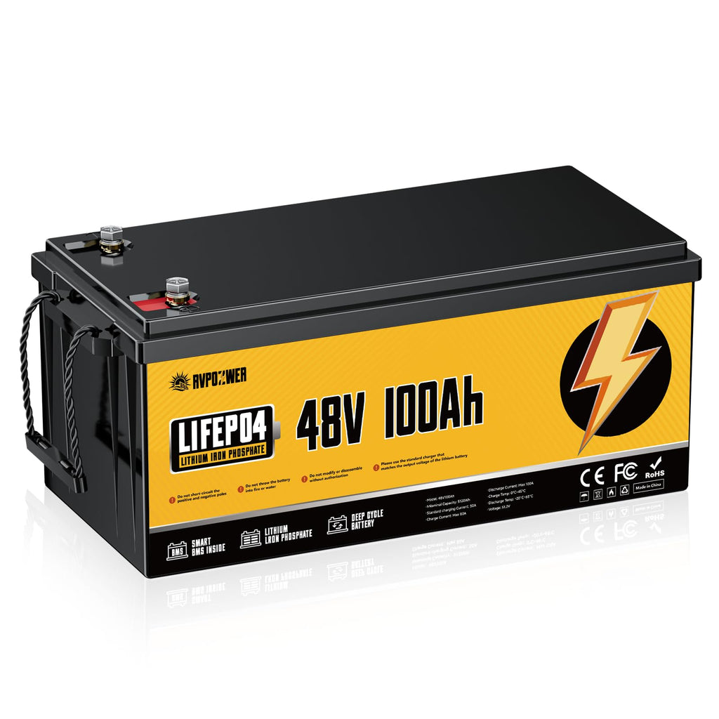 48V 100Ah LiFePO4 Battery with 100A BMS J99932