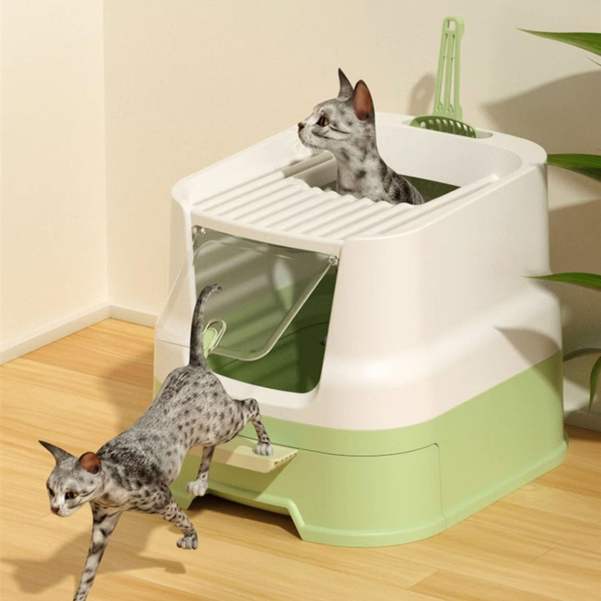 Enclosed Plastic Cat Litter Box with Lid and Scoop D72713