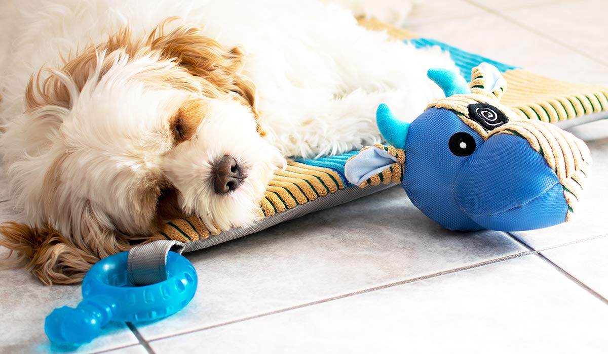 Puppy Play Mat with Teething Toys Q339