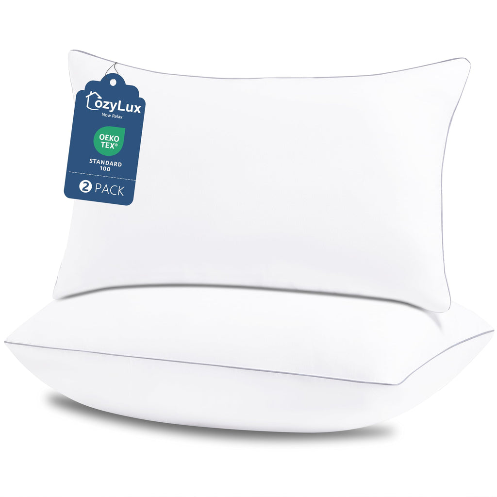 King Size Set of 2 Bed Pillows F549