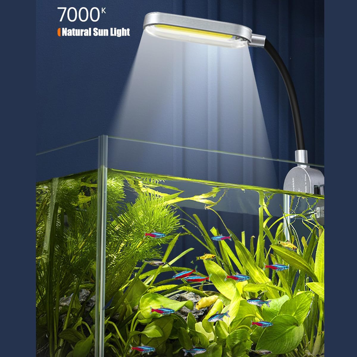 1.5 Gallon Glass Aquarium Starter Kit with Filter and LED Light T7208