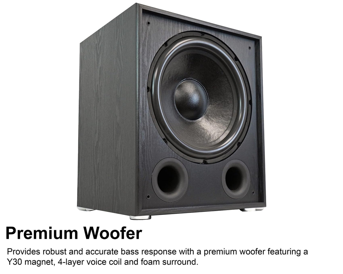 15" Black Powered Subwoofer C895