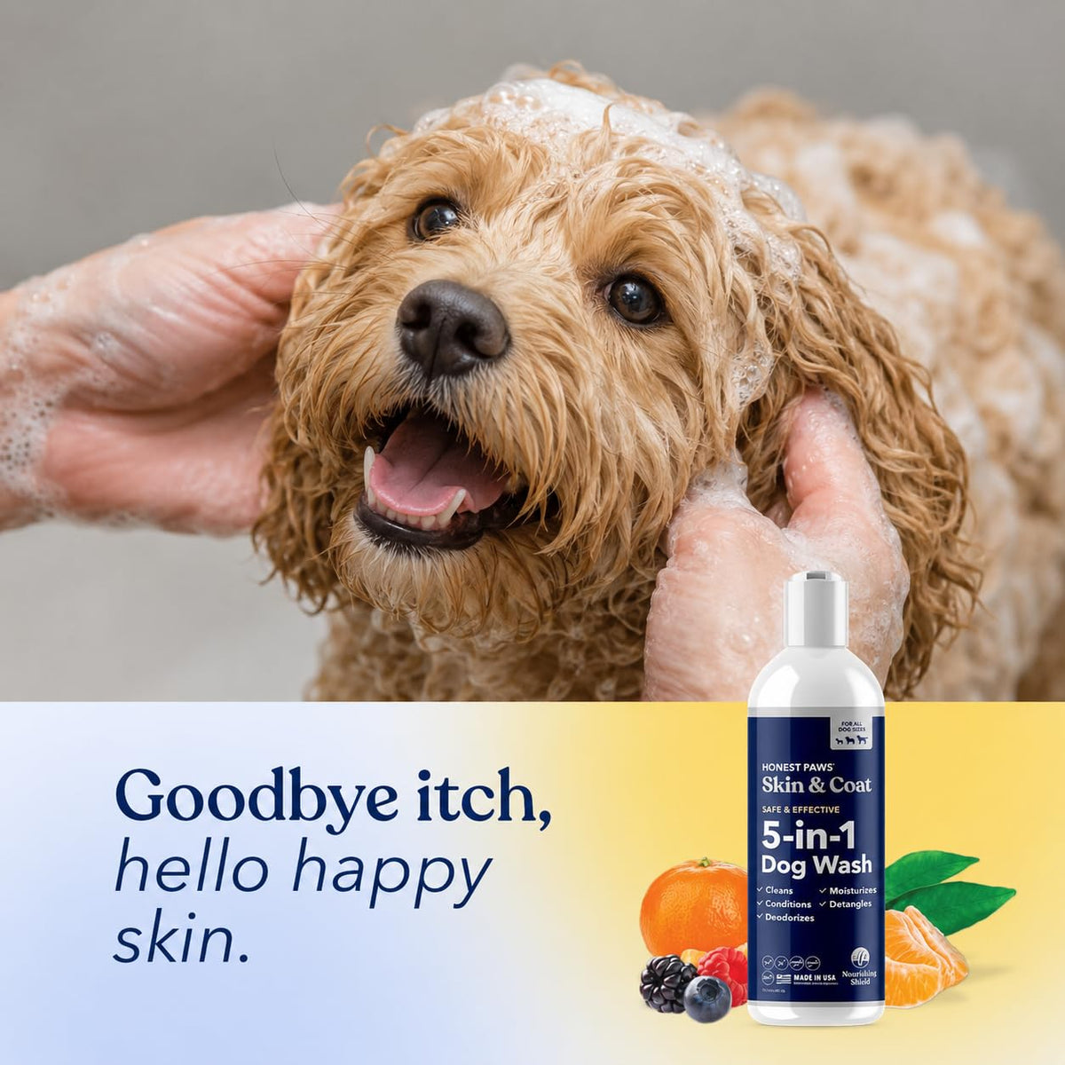 Dog Shampoo and Conditioner I585356