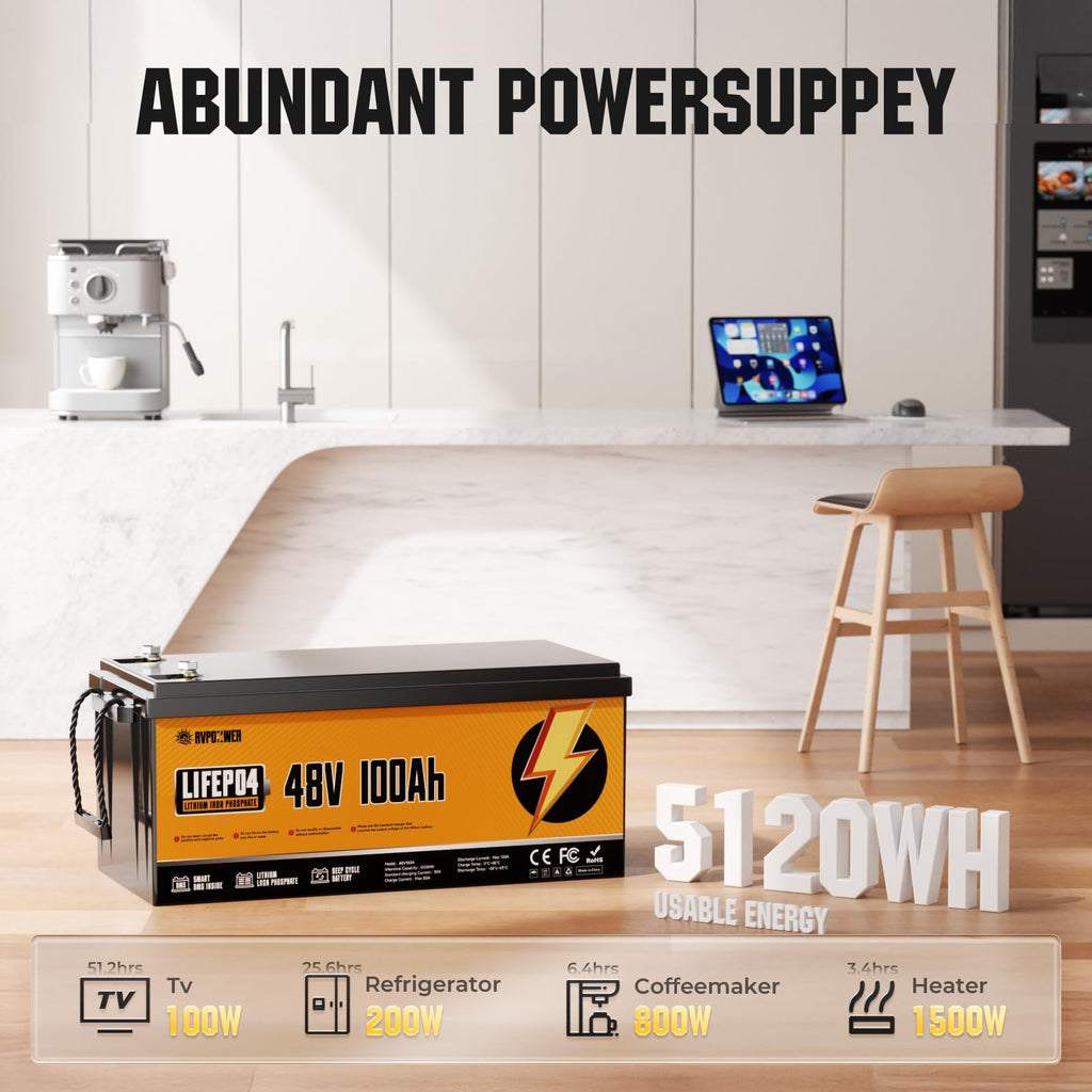 48V 100Ah LiFePO4 Battery with 100A BMS J99932