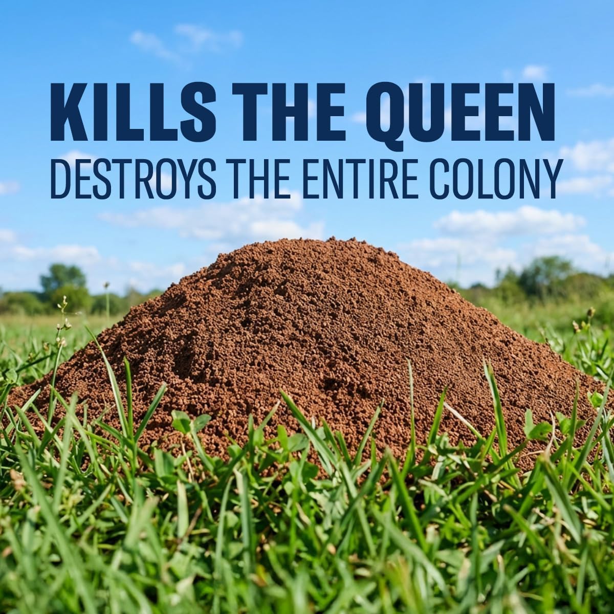 Fire Ant Killer Dust 1 lb Z440