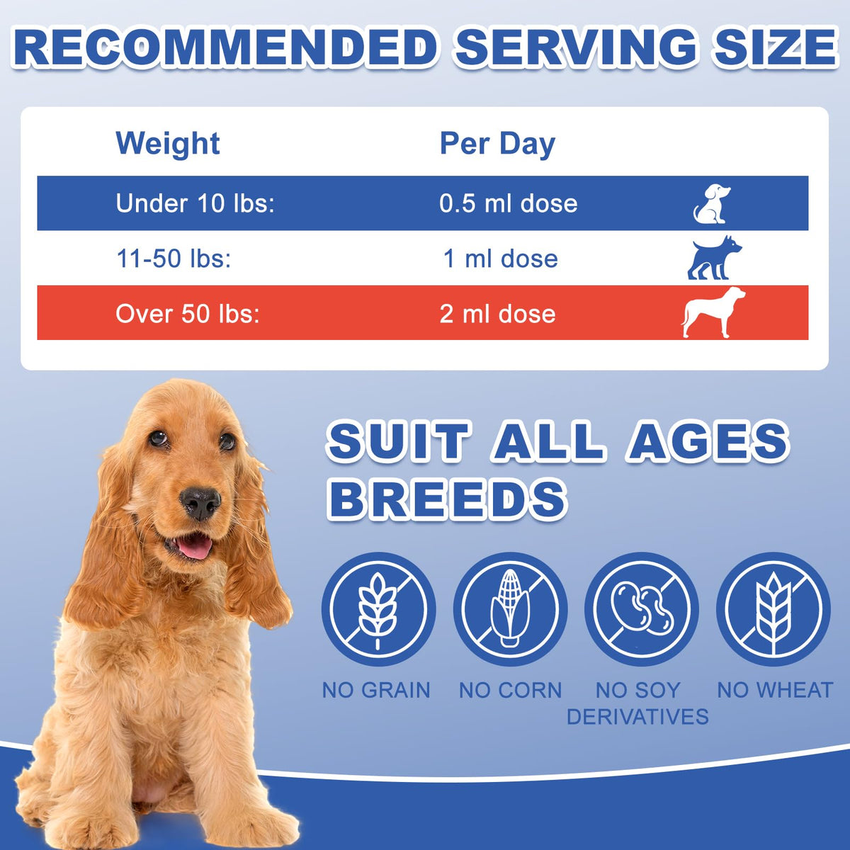 Vitamin B12 Liquid for Dogs S120794