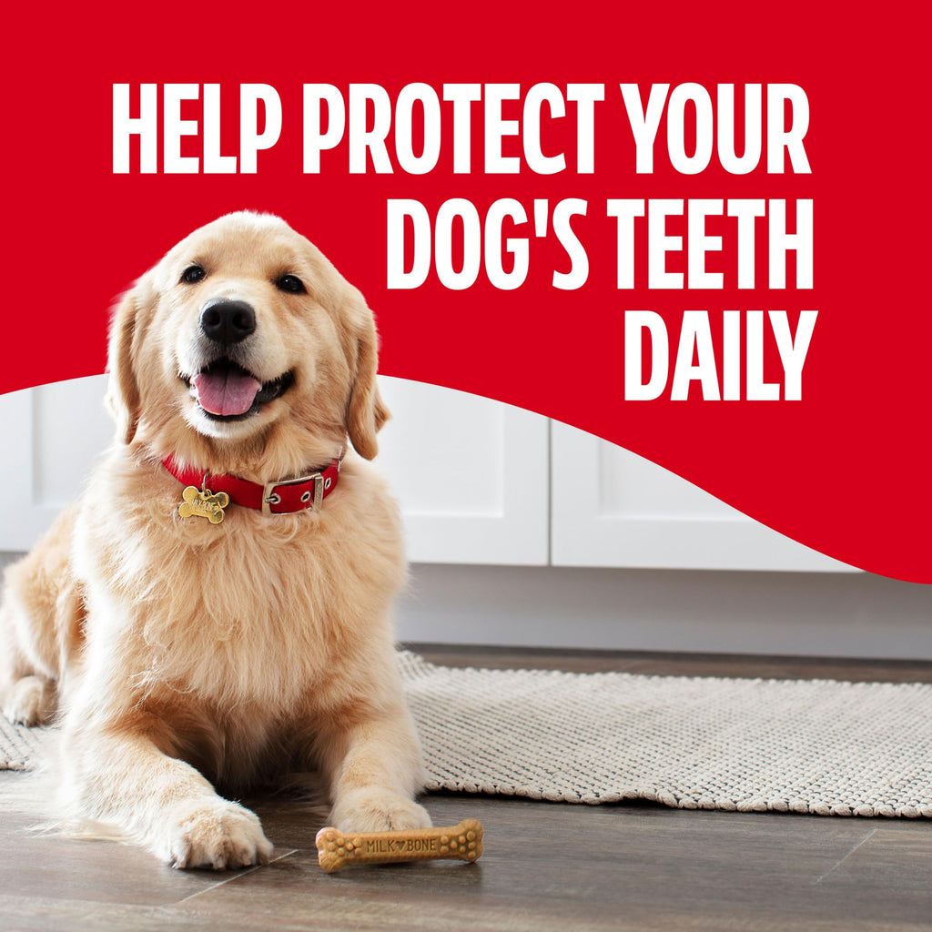 Large Daily Dental Dog Chews 33.7 oz Bag L906547