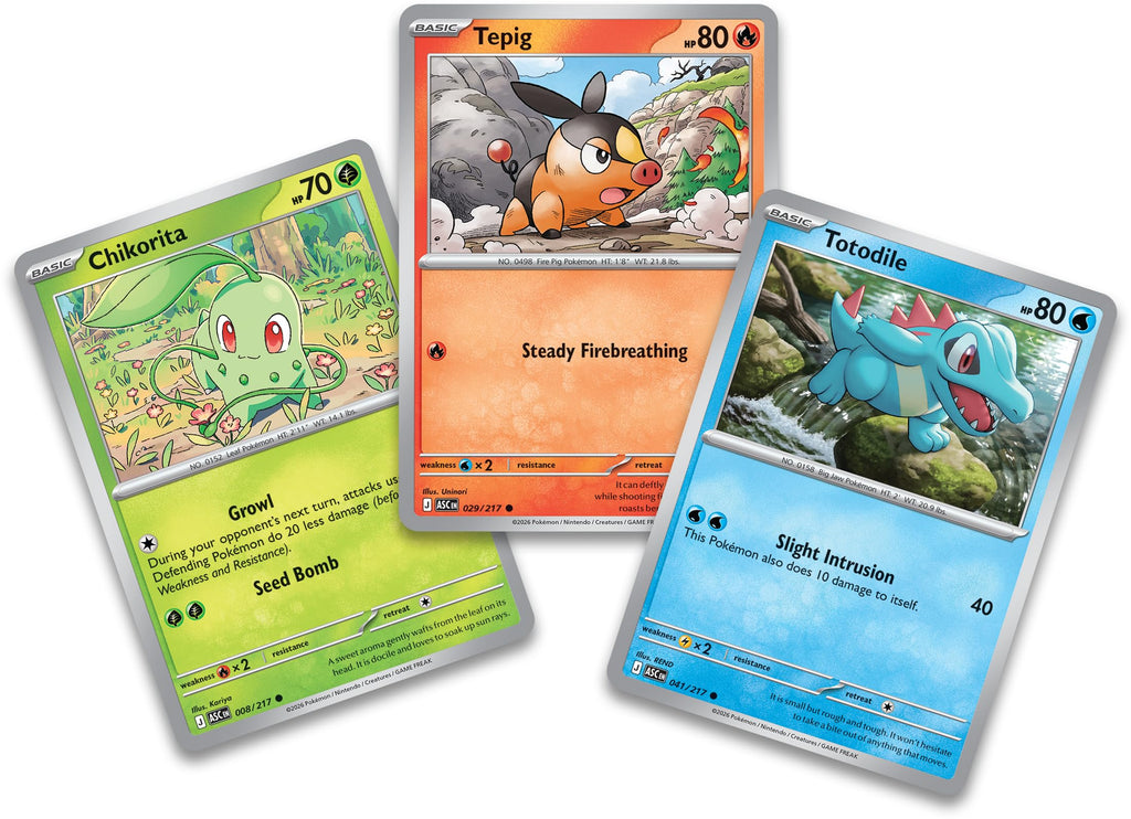 Pokémon TCG 3 Foil Promo Cards 1 Deluxe Pin & 5 Booster Packs Y16041