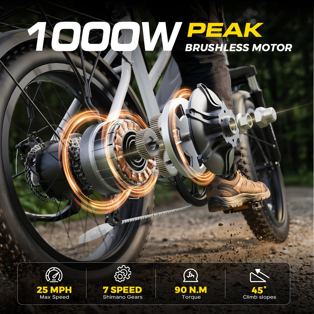 1000W Peak Motor 60+ Miles Fat Tire Electric Bike with 48V 13Ah Removable Battery S4208