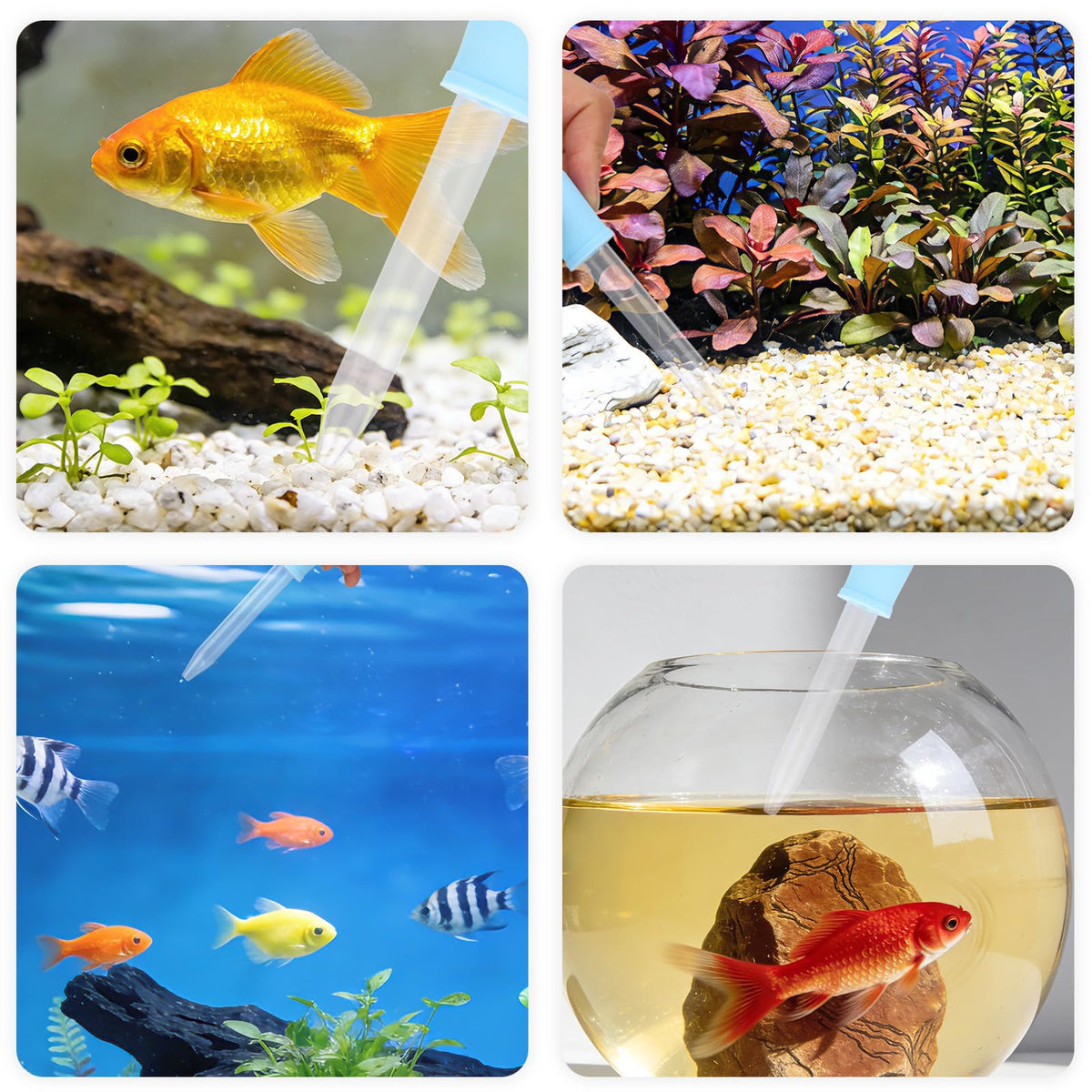 Aquarium Cleaning Tools Kit with Sponge Scrubbers and Brushes U139