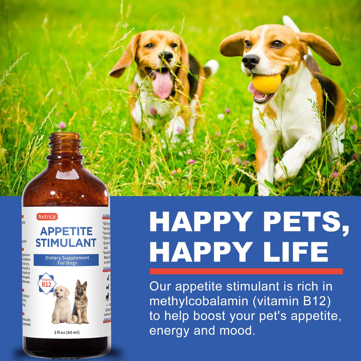 Vitamin B12 Liquid for Dogs S120794