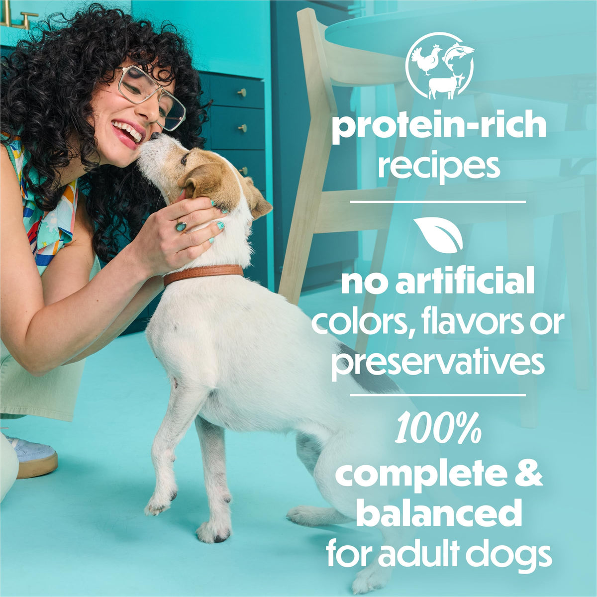 Small Breed Wet Dog Food Variety Pack, 30 3 oz Cans F26391