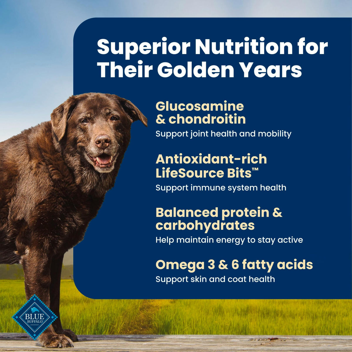 Chicken Senior 7+ Dry Dog Food, 15 lb N61175