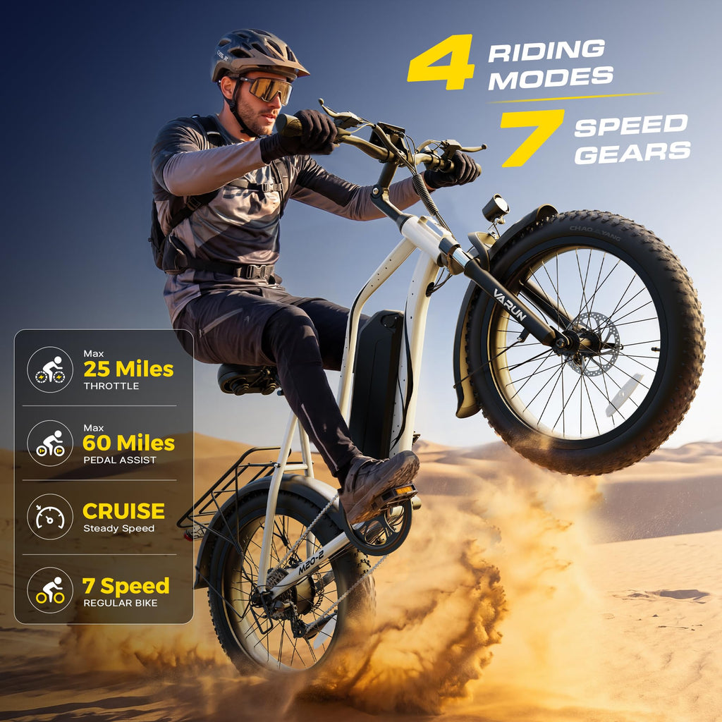 1000W Peak Motor 60+ Miles Fat Tire Electric Bike with 48V 13Ah Removable Battery S4208