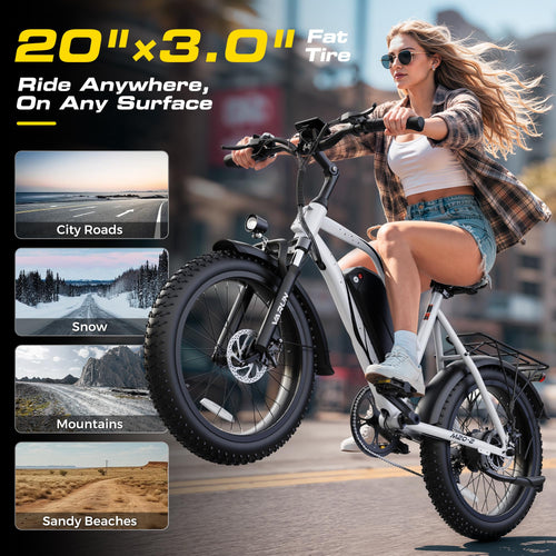 1000W Peak Motor 60+ Miles Fat Tire Electric Bike with 48V 13Ah Removable Battery S4208