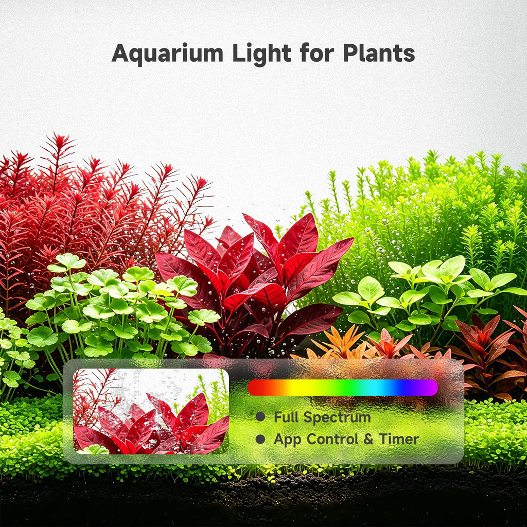 5 Gallon Smart Fish Tank Aquarium Kit G8096